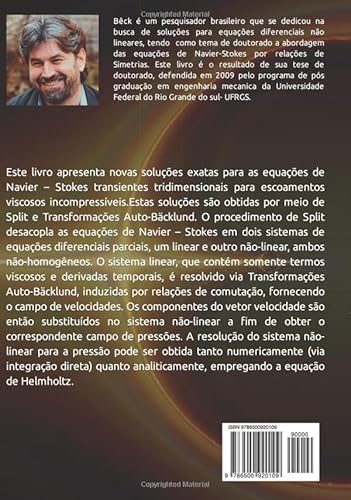 Soluções para a Equação de Navier-Stokes: Uma Abordagem via Simetrias. (Portuguese Edition)