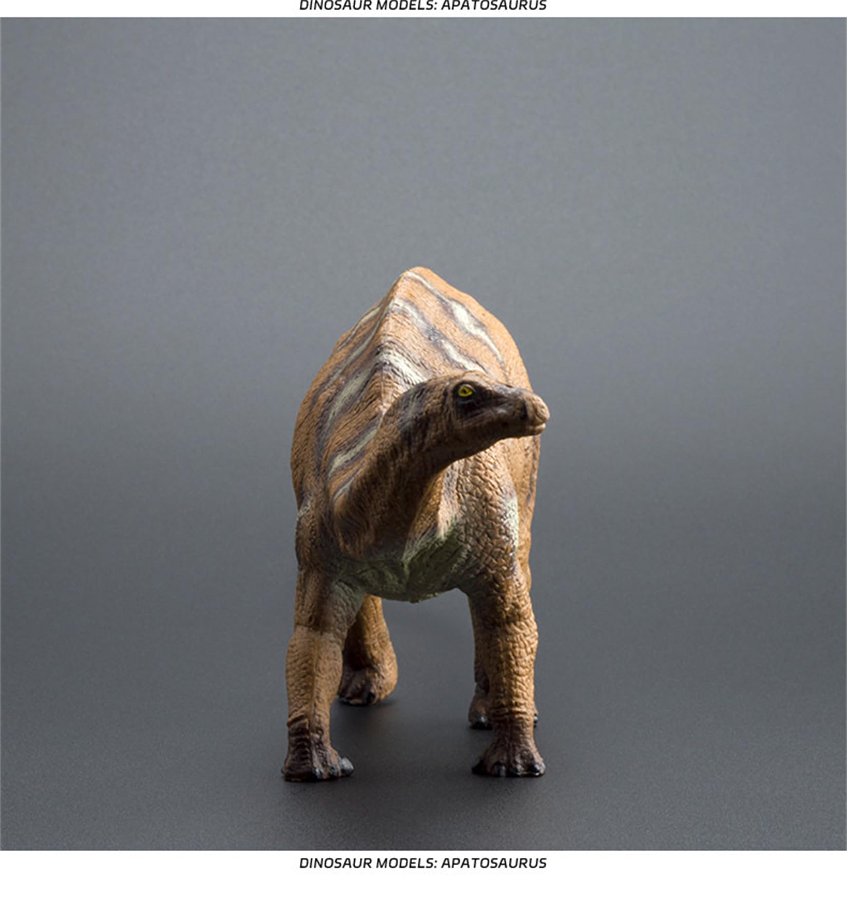 Amazon.co.jp: EUHELOPA アパトサウルス フィギュア 28.5cm 恐竜リアル