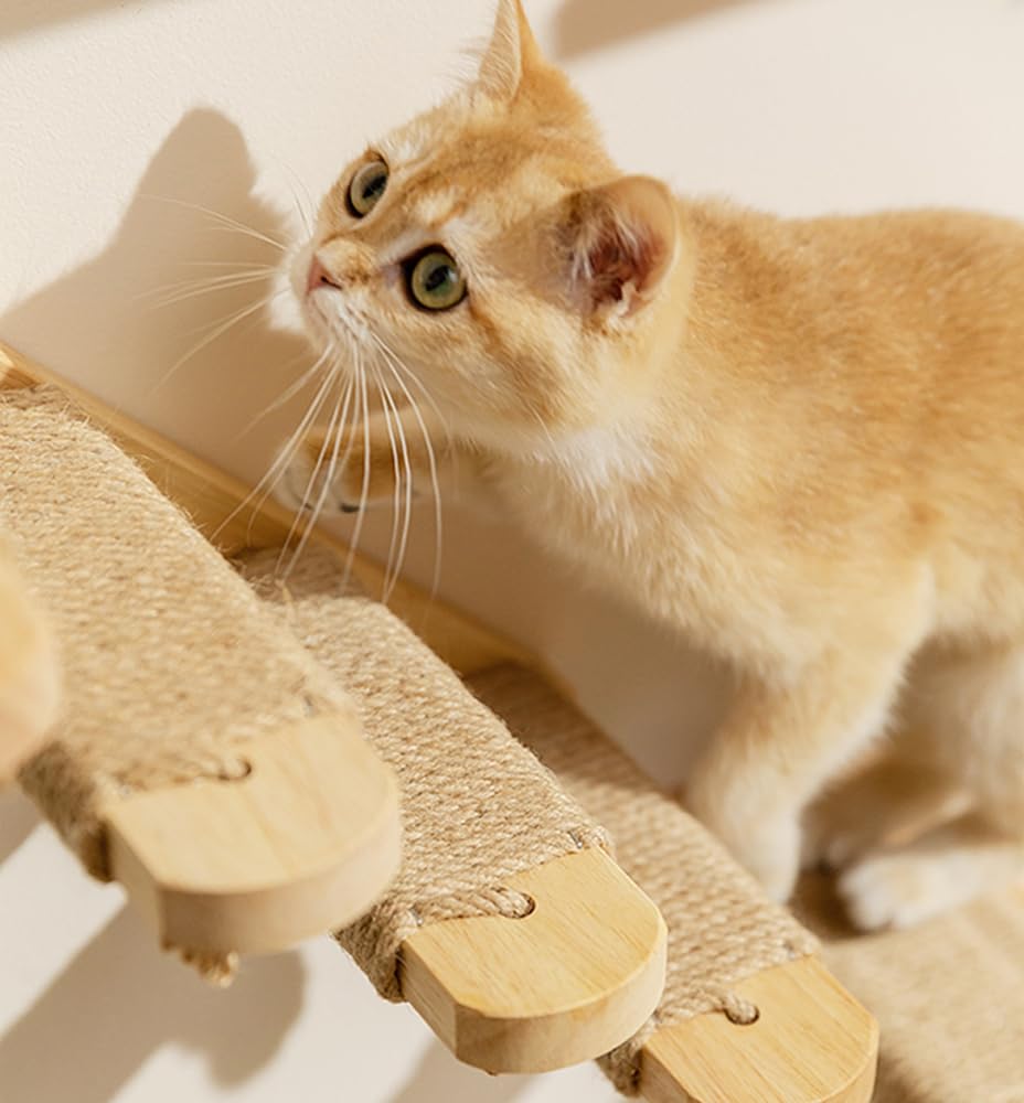 FUKUMARU Parete da Arrampicata per Gatti, 4 Scale e Gradini da Parete per Gatti, Scaletta in Legno Massiccio di Gomma,Con Corda di Iuta per Graffiare per Gatti Fino a 15 kg. da Destra a Sinistra.