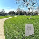  Black Freeza [Explicit]