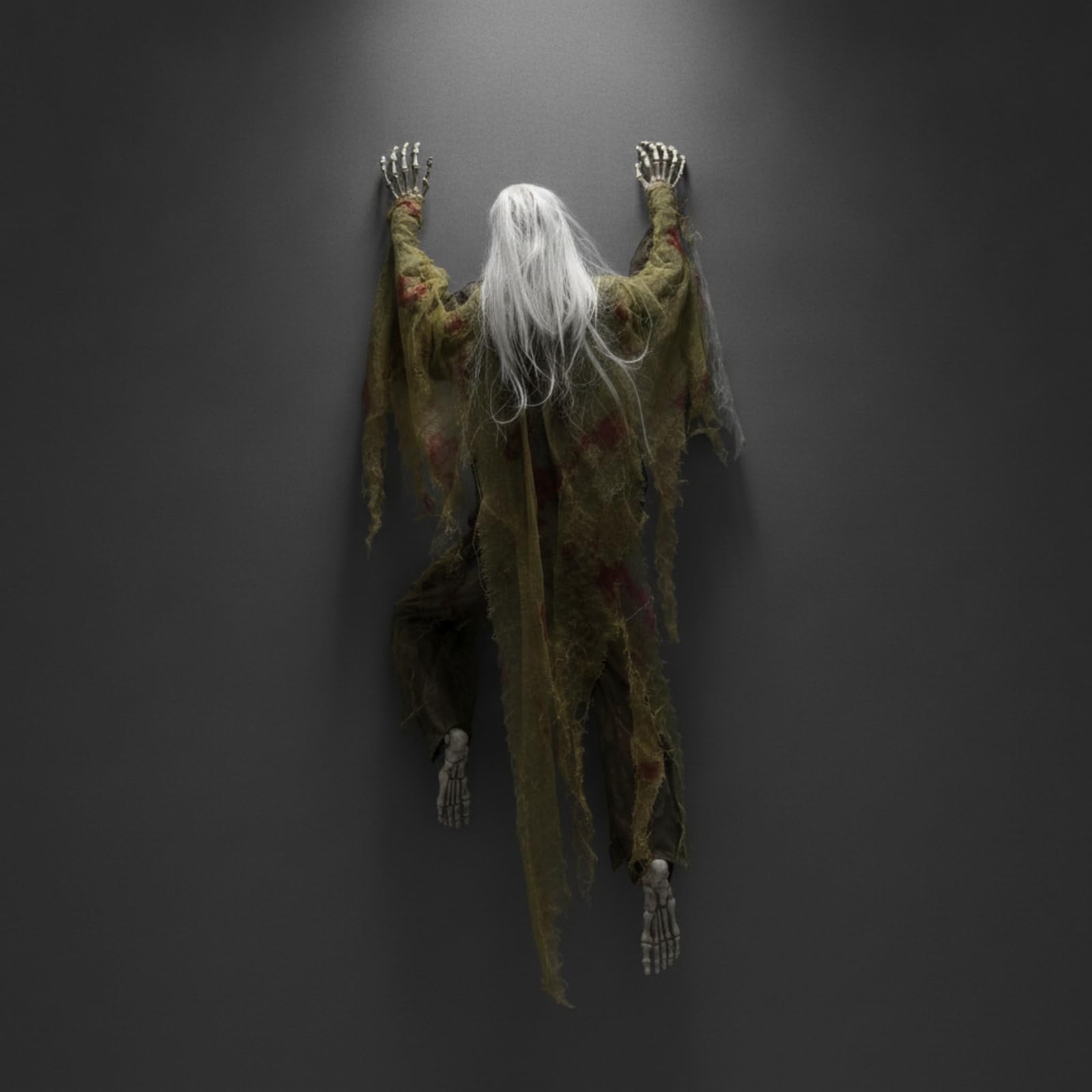 Fantasma con Capelli Lunghi Spaventoso
