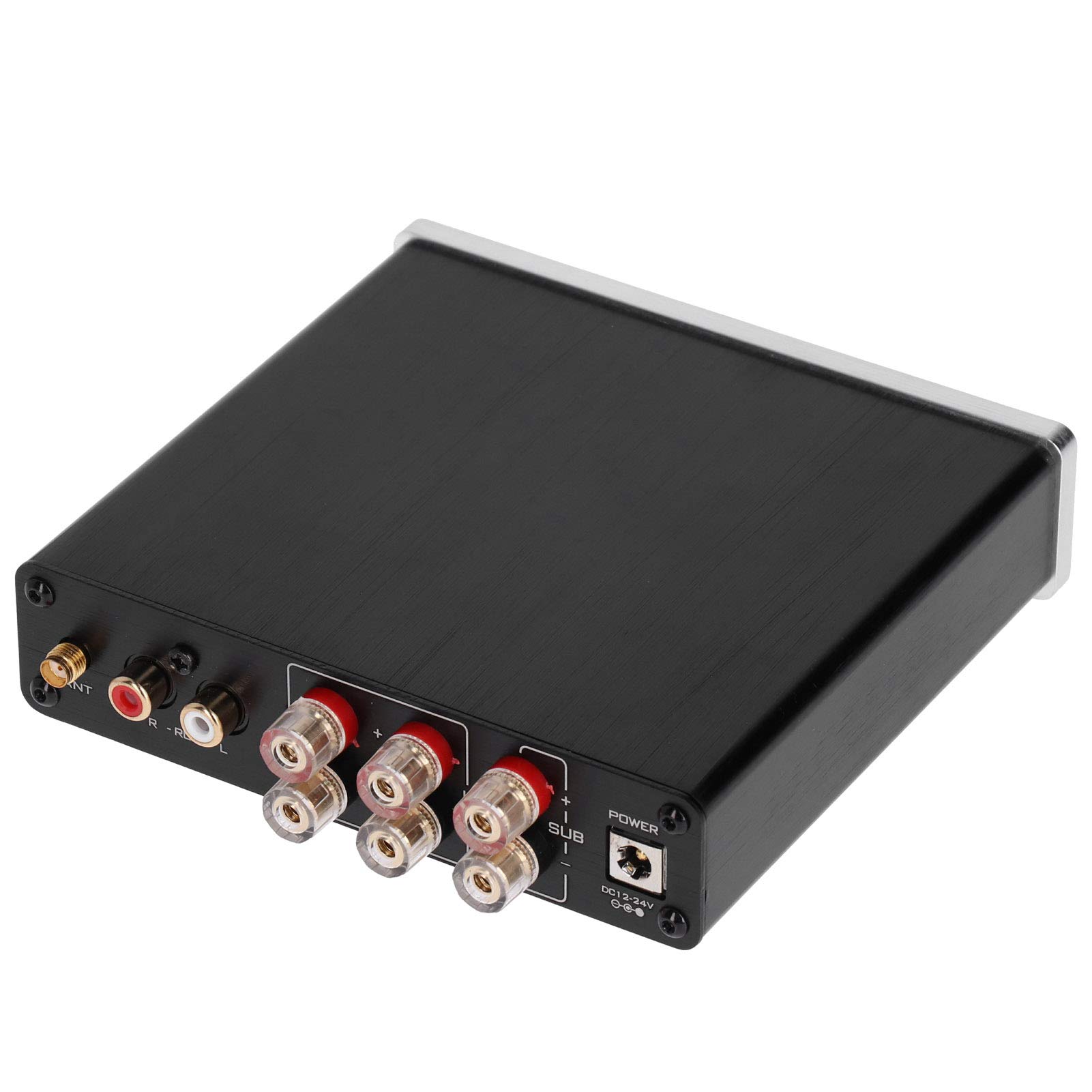 Wzmacniacz Cyfrowy 100 W DC12V24V Hi Fi Stereo Audio Wzmacniacz Dużej Mocy do Domowych Profesjonalnych Akcesoriów