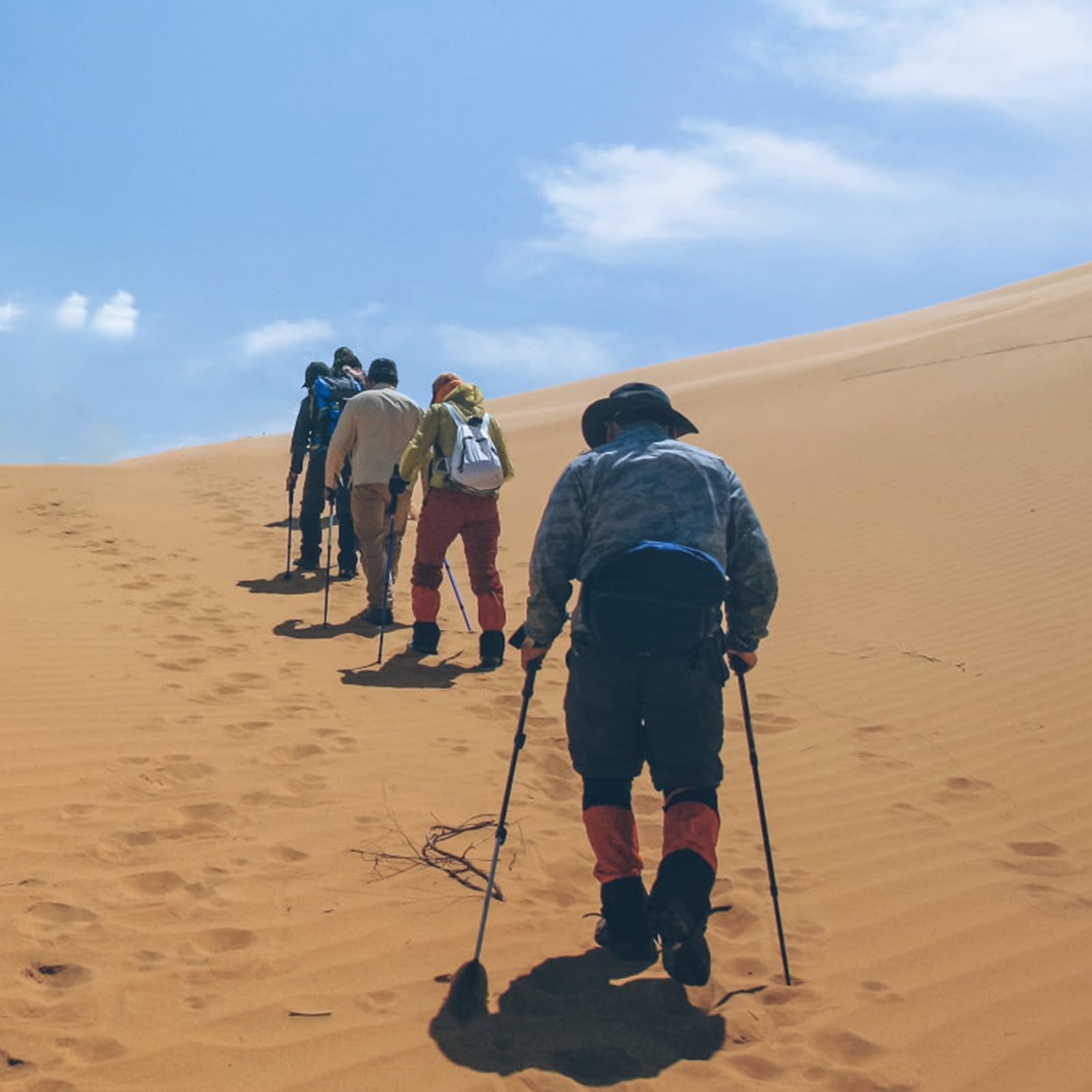 Guêtres de Jambe, guêtres Anti-Morsure de Serpent et Anti-Rayures for Raquettes à neigeGuêtres d'extérieur, adaptées à la Marche, à l'alpinisme, à la randonnée et à la Raquette