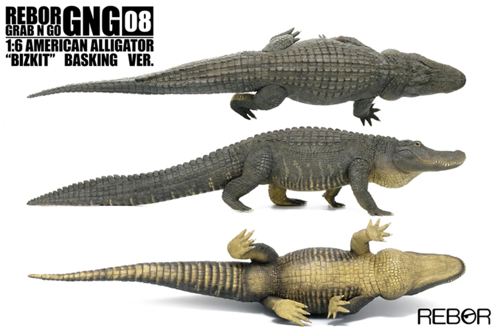 Amazon | BACALYSO | REBOR 1/6 サイズ アメリカアリゲーター 動物