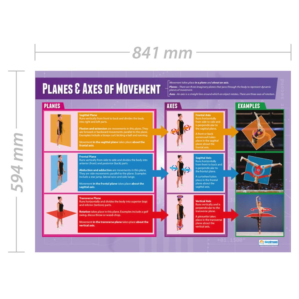 Daydream Education Planes & Axes of Movement | PE Posters | Gloss Paper measuring 33” x 23.5” | Physical Education Charts for the Classroom | Education Charts