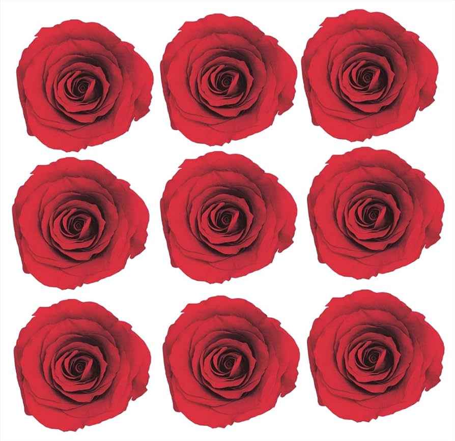 Amazon｜大地農園 プリザーブドフラワー ローズ·かのん·M レッド