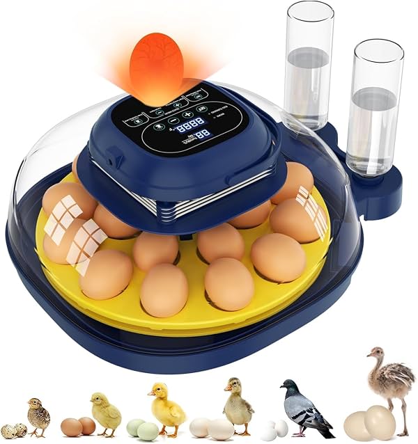 Incubadora de 18-33 Huevos para Eclosionar Huevos, Giro Automático de Huevos, Lámpara de Cándido, Control de Temperatura/Humedad, Incubadora para Eclosionar Huevos de Pollo, Codorniz, Pato, Vista Transparente 360° para Hogar, Aula, Granja