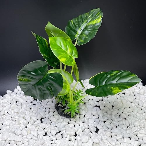 Miniatura 6 de Plantas de acuario, decoraciones de pecera, plantas artificiales de plástico, peces dorados, paisaje acuático, cuerosdescanso (hoja)