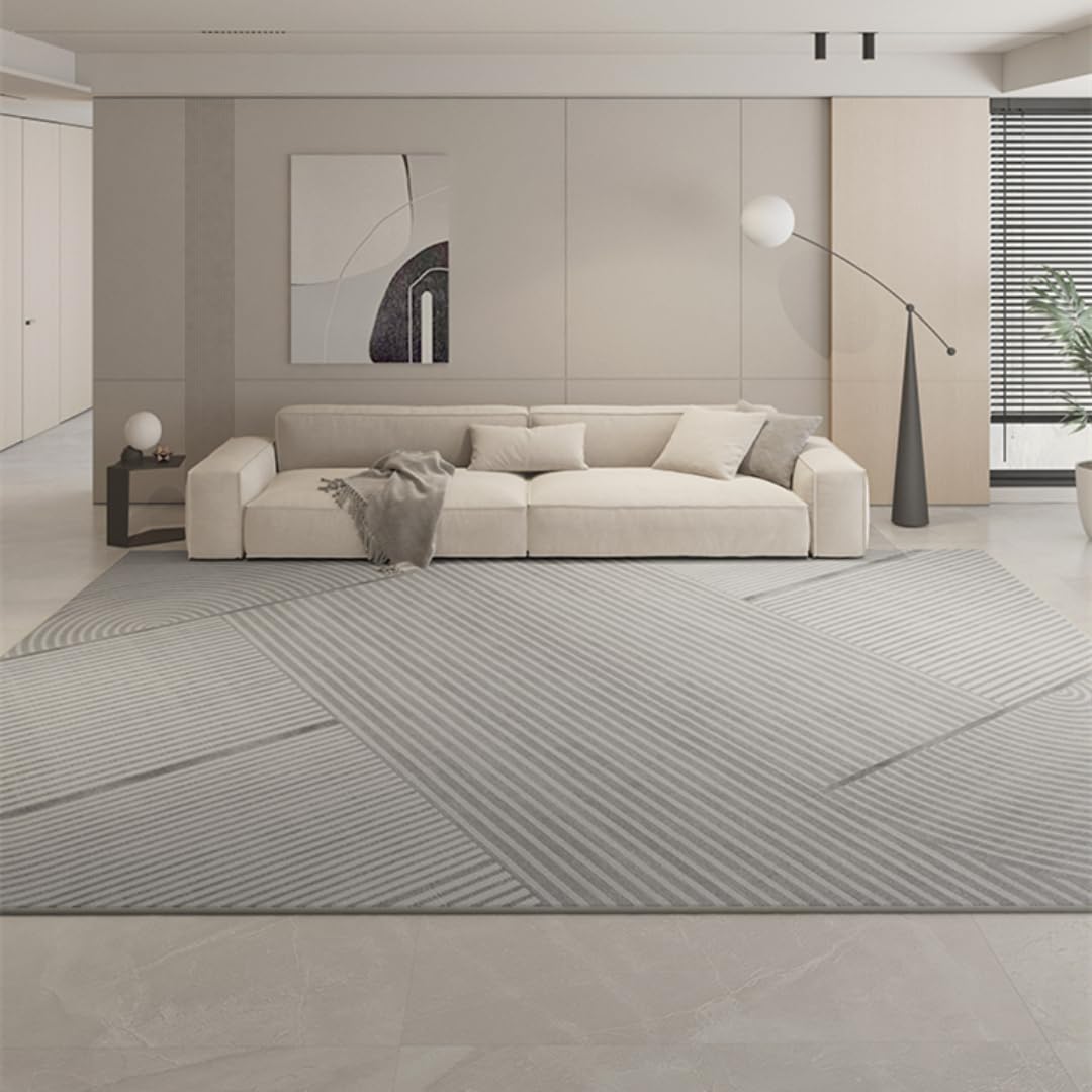 Tapis de salon moderne 80x120 cm en peluche lavable