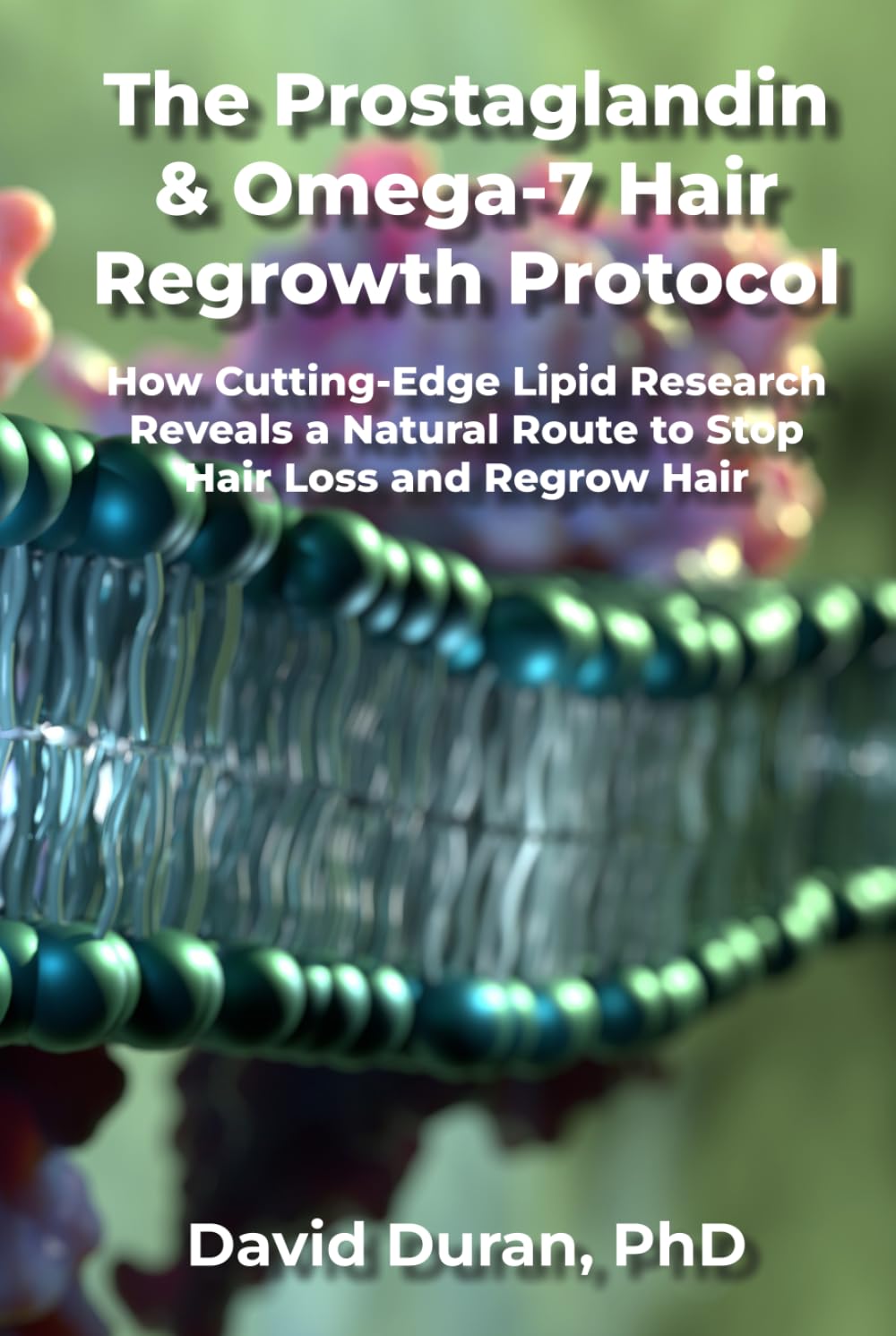The Prostaglandin & Omega-7 Hair Regrowth Protocol: How Cutting-Edge Lipid Research Reveals a Natural Route to Stop Hair Loss and Regrow Hair