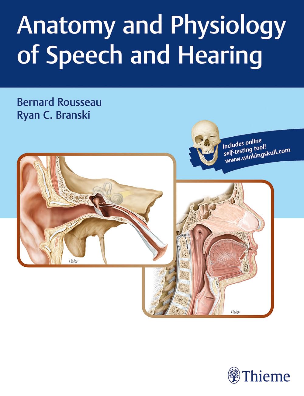 Anatomy and Physiology of Speech and Hearing      1st Edition