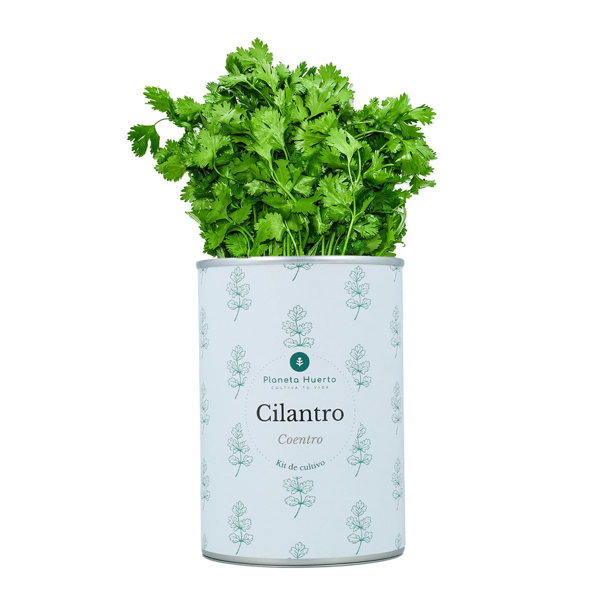 PLANETA HUERTO | Pack Cofre Kits de Cultivo Aromáticas Planeta Huerto – Set Completo para Cultivar Hierbas Frescas en Casa