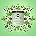 Talenti Gelato For a Delicious Frozen Dessert Mediterranean Mint Made with Non-GMO Ingredients 1 pint