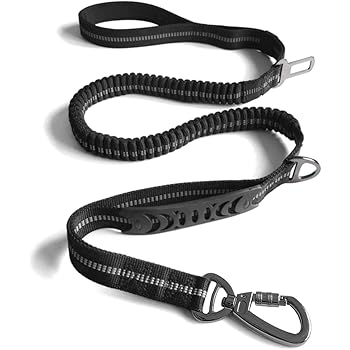 mod bungee dog leash