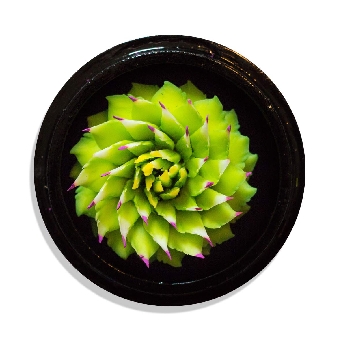 Seifenblume Handgeschnitzt In Mangoholzbox – Natürliche Deko & Geschenk | Unikat Aus Thailand | Mit Geschenkbox
