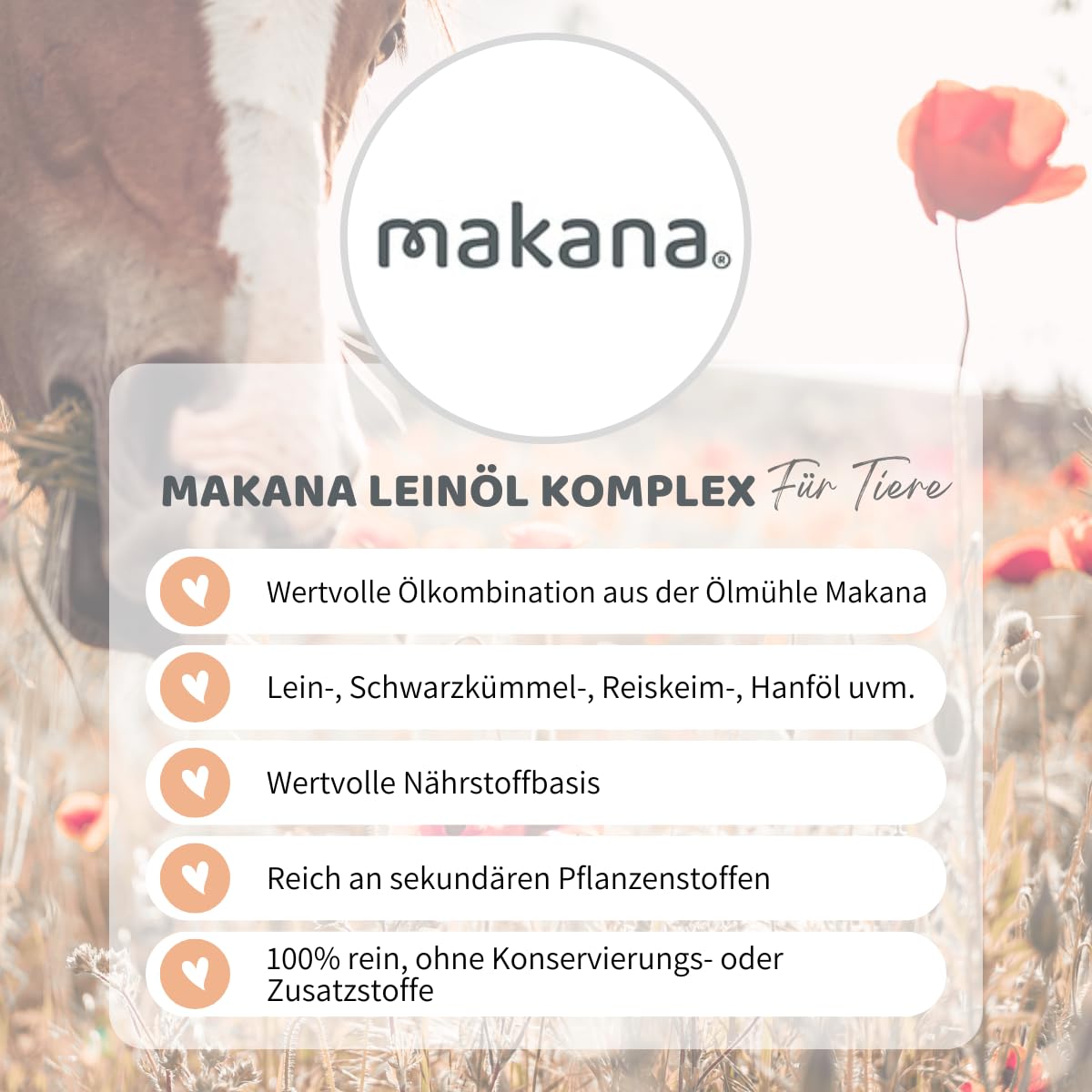 Makana Leinöl KOMPLEX für Pferde, 3 l Kanister