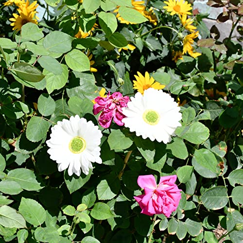 Mandy's 12Pcs White Flowers Artificial Gerbera Daisies Silk Flowers 15" For Home Kitchen Wedding Decorations #TOP4