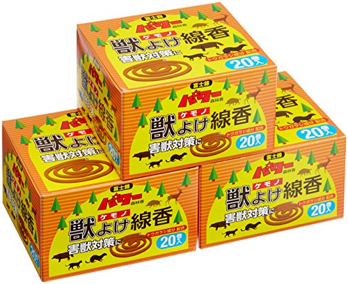 ʌZ폤 R_} b悯 203Zbg