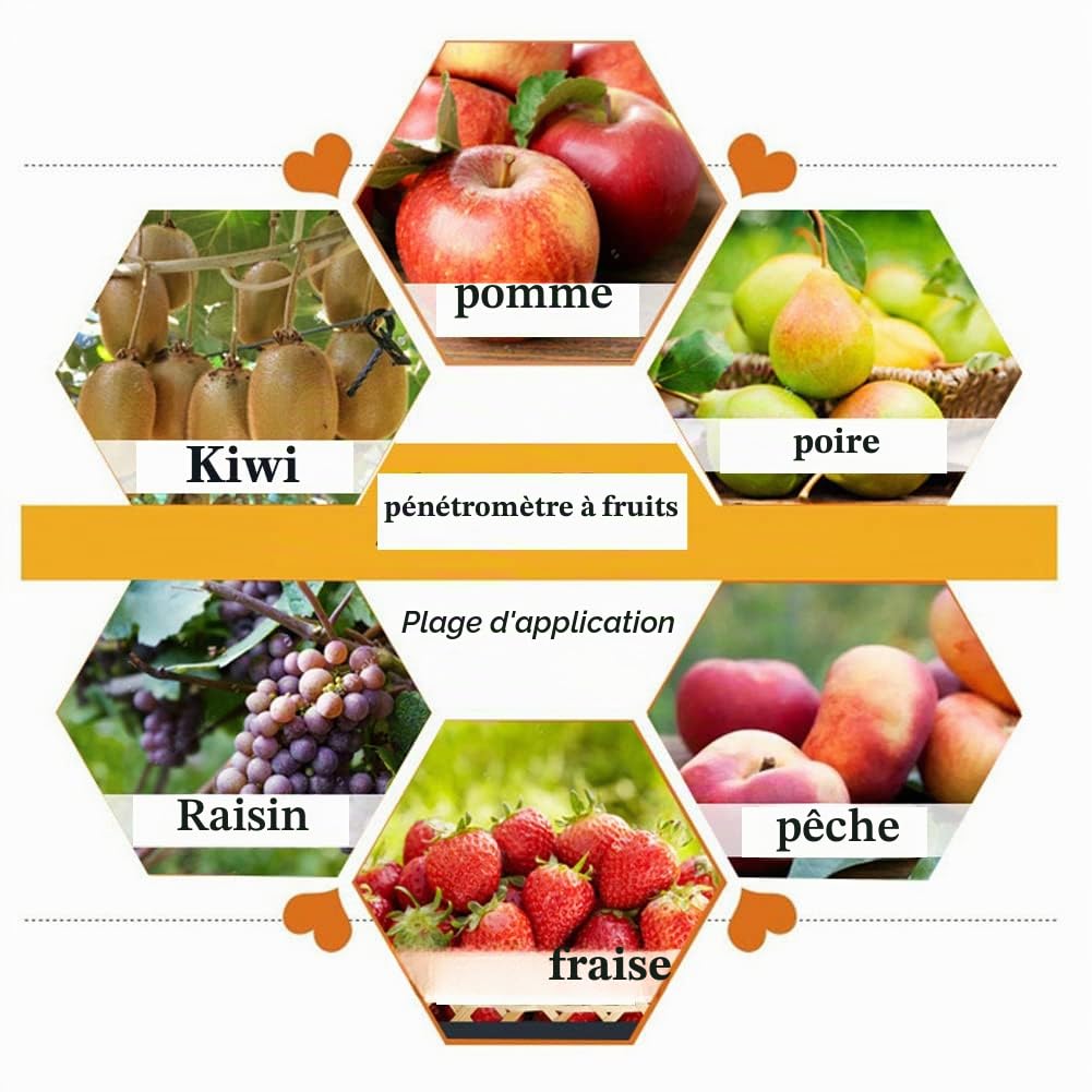 GY-03 Penetrometre fruit, Scléromètre à Fruits pénétromètre de fruit, Testeur de dureté des fruits, pénétromètre de fruit avec 2 têtes de mesure pour inspecter la dureté Maturité des fruits