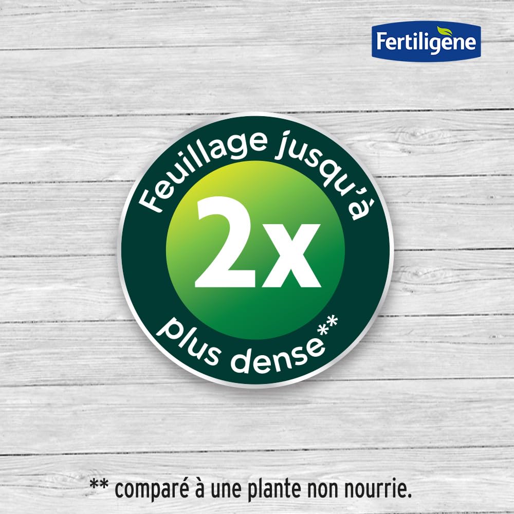 FERTILIGENE NATUREN POEFLE7 Engrais Granulés Performance Organics Plantes Fleuries 700 g Pour 9m²
