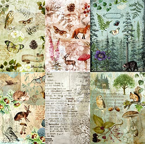 Woodland Theme Mulberry Rice Paper, 8 X 10.5 Inch - 6 X Different Printed Mulberry Paper Images 30Gsm Visible Fibres For Decoupage Crafts Mixed Media Collage Art #TOP22