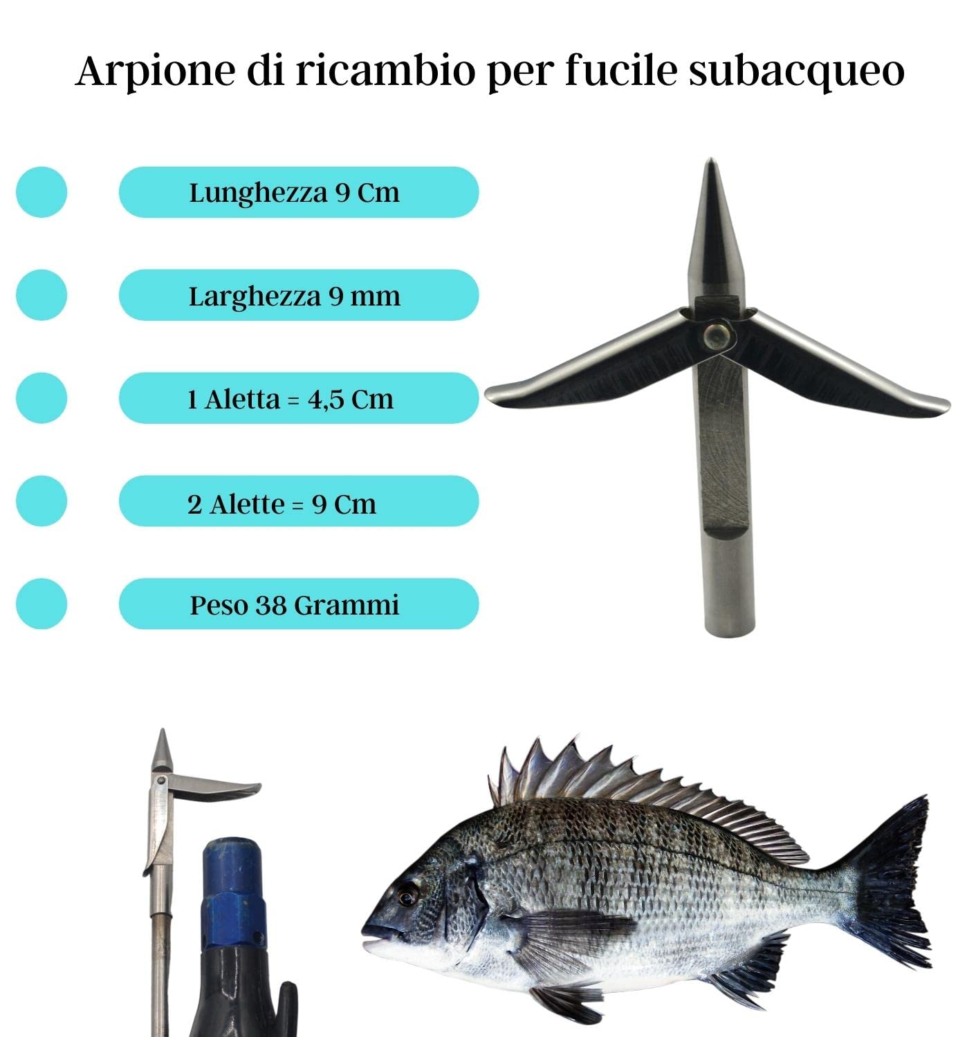 Generico da Pippo - Arpione da Pesca di Ricambio per Fucile subacqueo, Arbalete a Due Alette in Acciaio Inox con Passo a Vite Standard - Arpione Fucile Sub Professionale perforante ed Idrodinamico