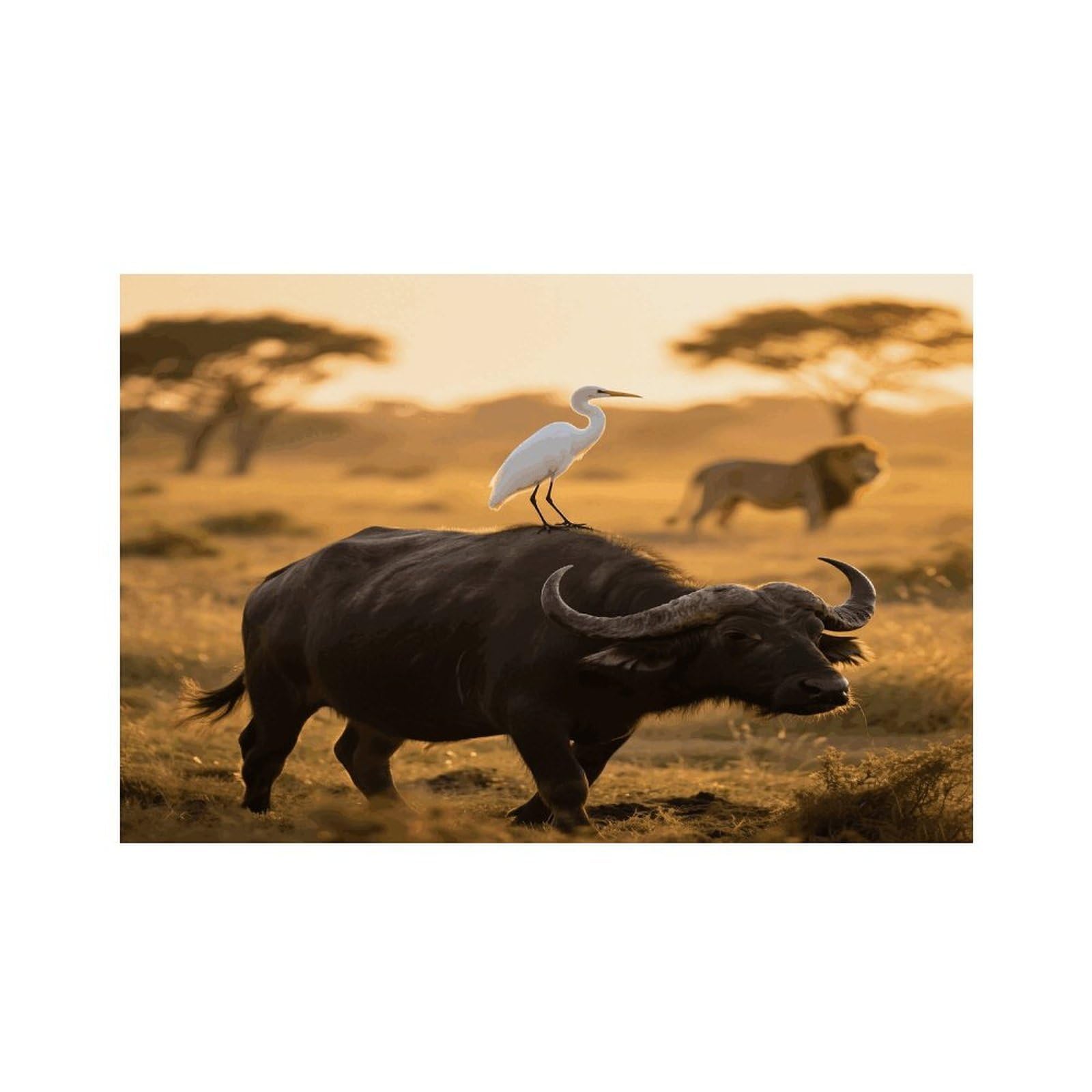 Cow and Bird Placemats Heat Resistant Non-Slip Place Mats Washable Wipeable Table Mat Kitchen Dining Table Decoration Placemats Indoor Outdoor Place Mats 17.7’’×11.8’’