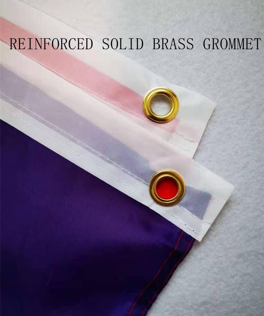 Rainbow Pride FLAG 3x5 FT Polyester gay pride flag outdoor indoor Canvas Header and Double Stitched LGBT FLAG with two Brass Grommets - Image 4