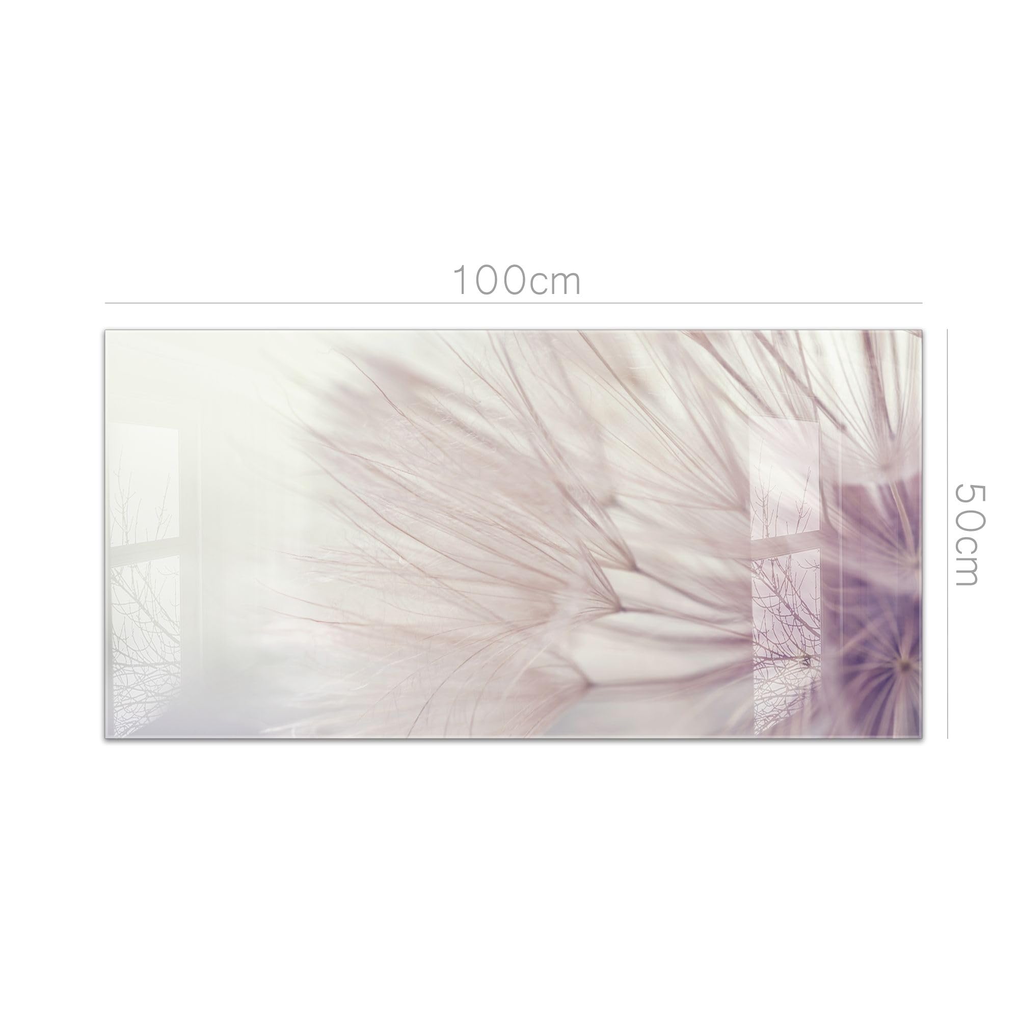 timalo Spritzschutz Wand für Herd, Küche Küchenrückwand Glasoptik | Acryl Glas 2mm | Glasrückwand Acrylglas Wandpaneele Rückwandschutz Platte | 100x50cm Löwenzahn Pusteblumen