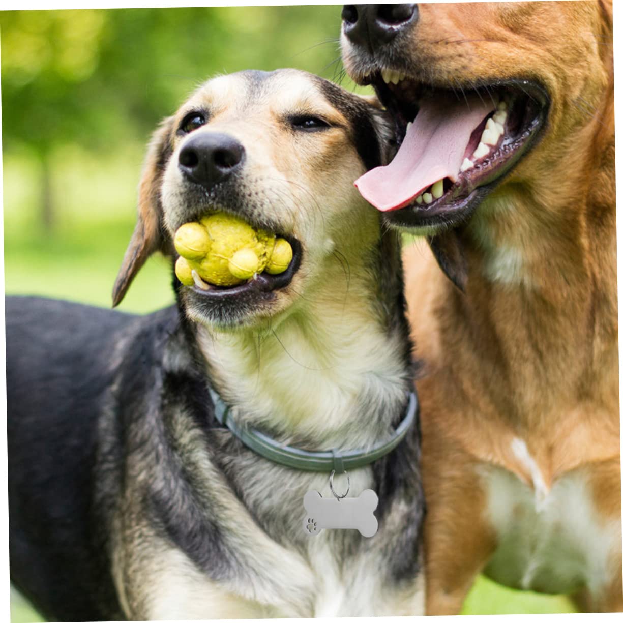 Toyvian 30 Stck Teiliges Hundemarken Gravierbare Haustier Id Anhänger Pfoten und Knochenform Geräuschloser Langlebiger Hundehalsband Zubehör für Hunde Katzen und Kleine Tiere