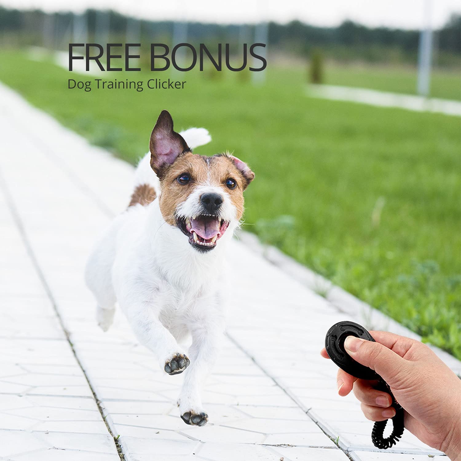 Guinzaglio Retrattile Per Cani 8 Metri Edipets | Estensibile E Flessibile Per Passeggiate - Foto 6