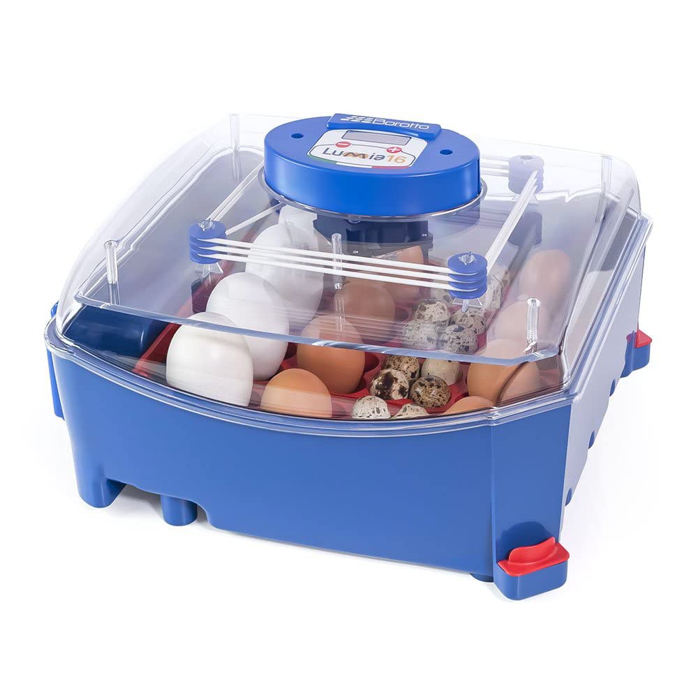 Borotto Automatic 16 LUMIA -Patented professional incubator, with automatic egg turning system- for 16 medium and large-sized eggs or 64 small-sized eggs