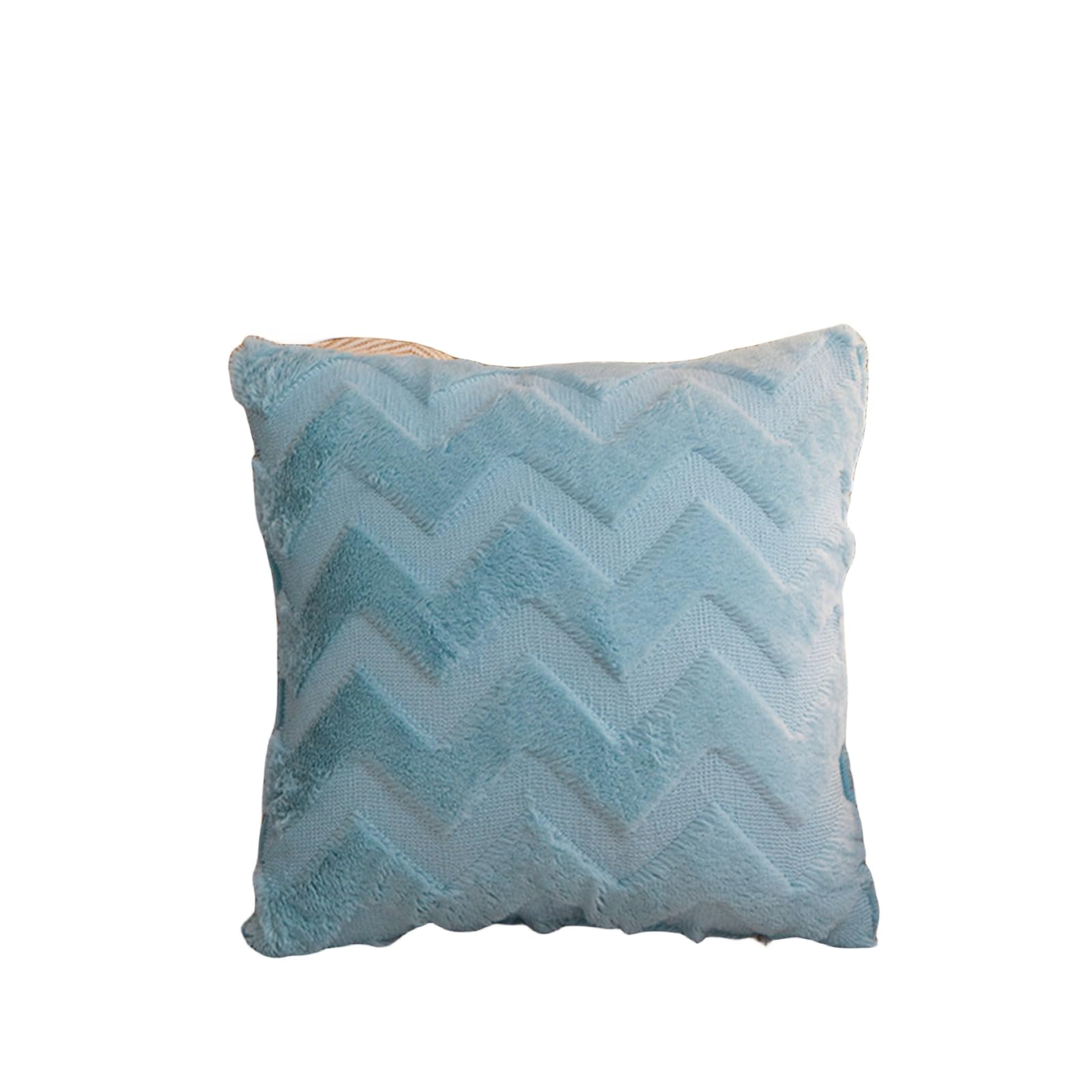 Coussin de canapé déhoussable avec taie en peluche confortable