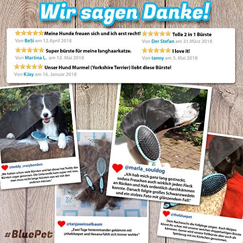 BluePet 2in1 Hundebürste für Langhaar & Kurzhaar Auch für Welpen & Katzen I Glätten, Entwirren, Ausbürsten I Das Allround-Talent Borstenbürste (Blau, M-L)