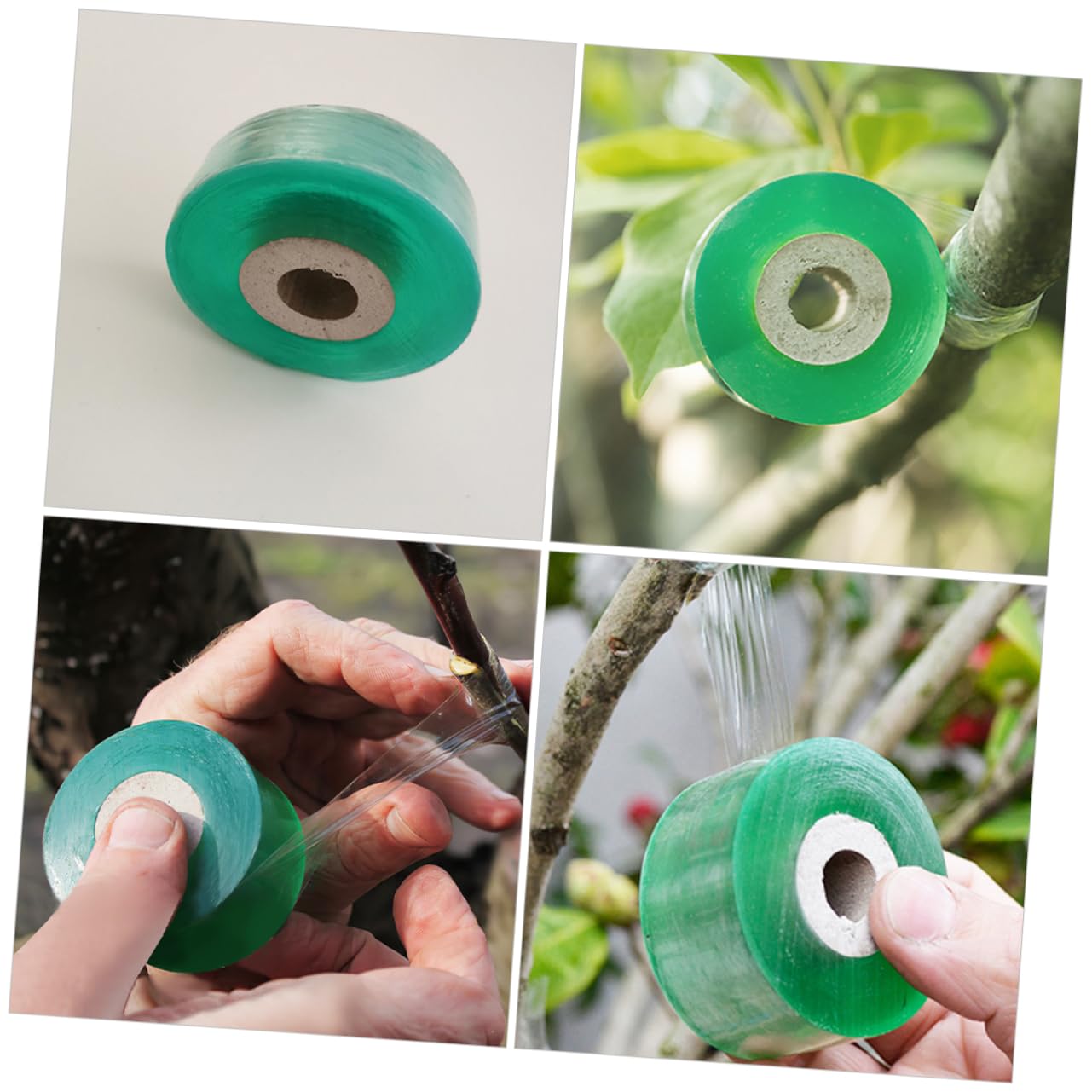 BESPORTBLE 20rollen Praktisches Pfropfband Dehnbares Selbstklebendes Pflanzenband Für Garten Wundverschluss Und Reparatur Für Obstbäume Und Pflanzen Wetterfest Und Pflegeleicht Breit Lang