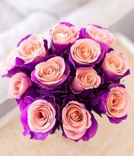 From You Flowers - One Dozen Blushing Lavender Roses with Glass Vase | Fresh Flower Bouquets for Birthday, Anniversary, Get Well or Celebration