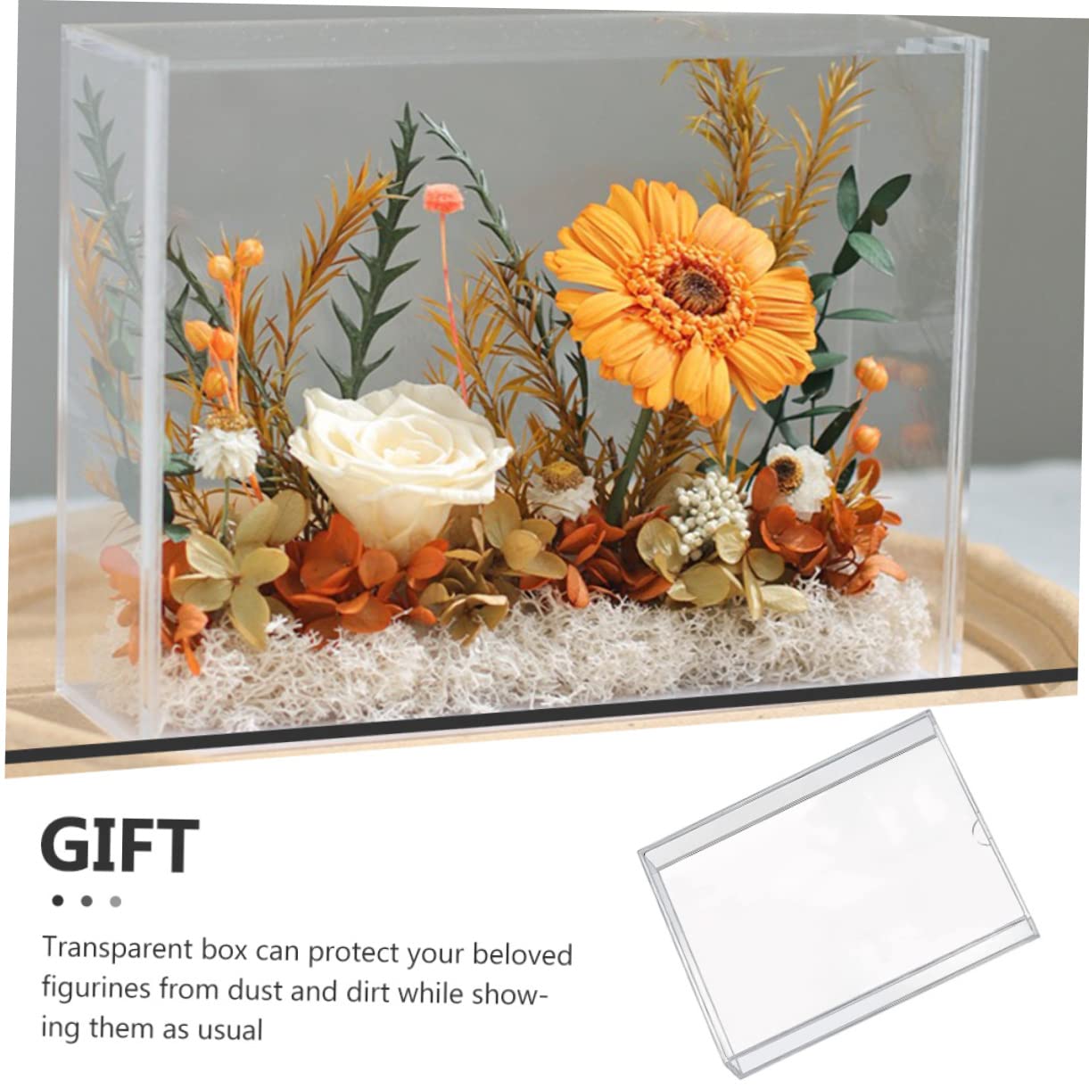 Amazon.com - LIFKOME Transparent Eternal Flower Display Case Dried