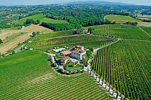 Vinho Branco Le Casine Pinot Grigio 750ml