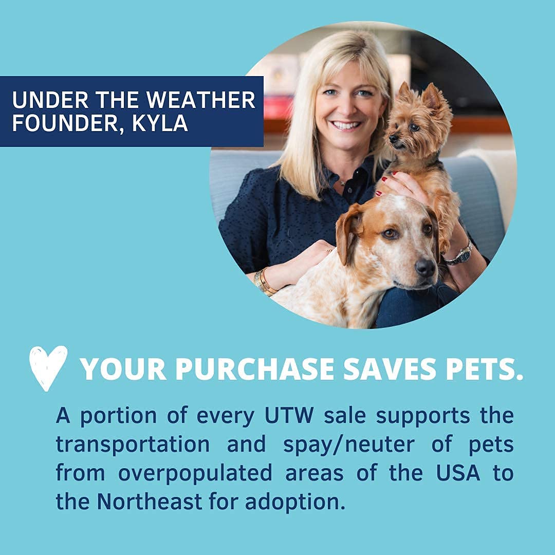 Under the Weather Pet Calming Powder for Cats | Natural Anxiety and Stress Relief Cat Supplement | Supports Relaxation & Normal Emotional Balance During Grooming, Travel & Thunderstorm - (2.54 Oz) - image 6