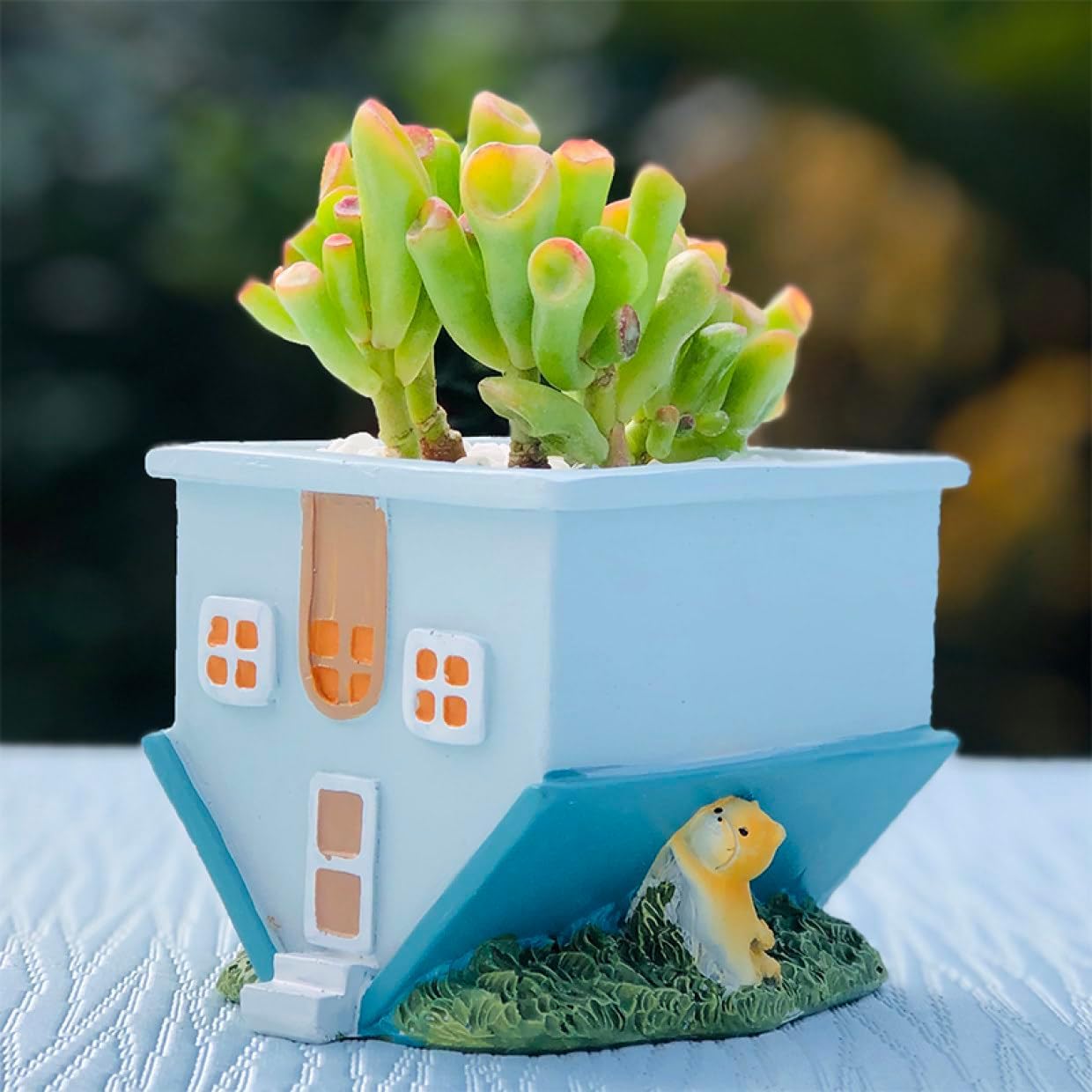 サボテン　置物　ポット　植木鉢 ミニサボテン公園 そのまま飾れる サボテン寄せ植え 箱庭 陶器鉢