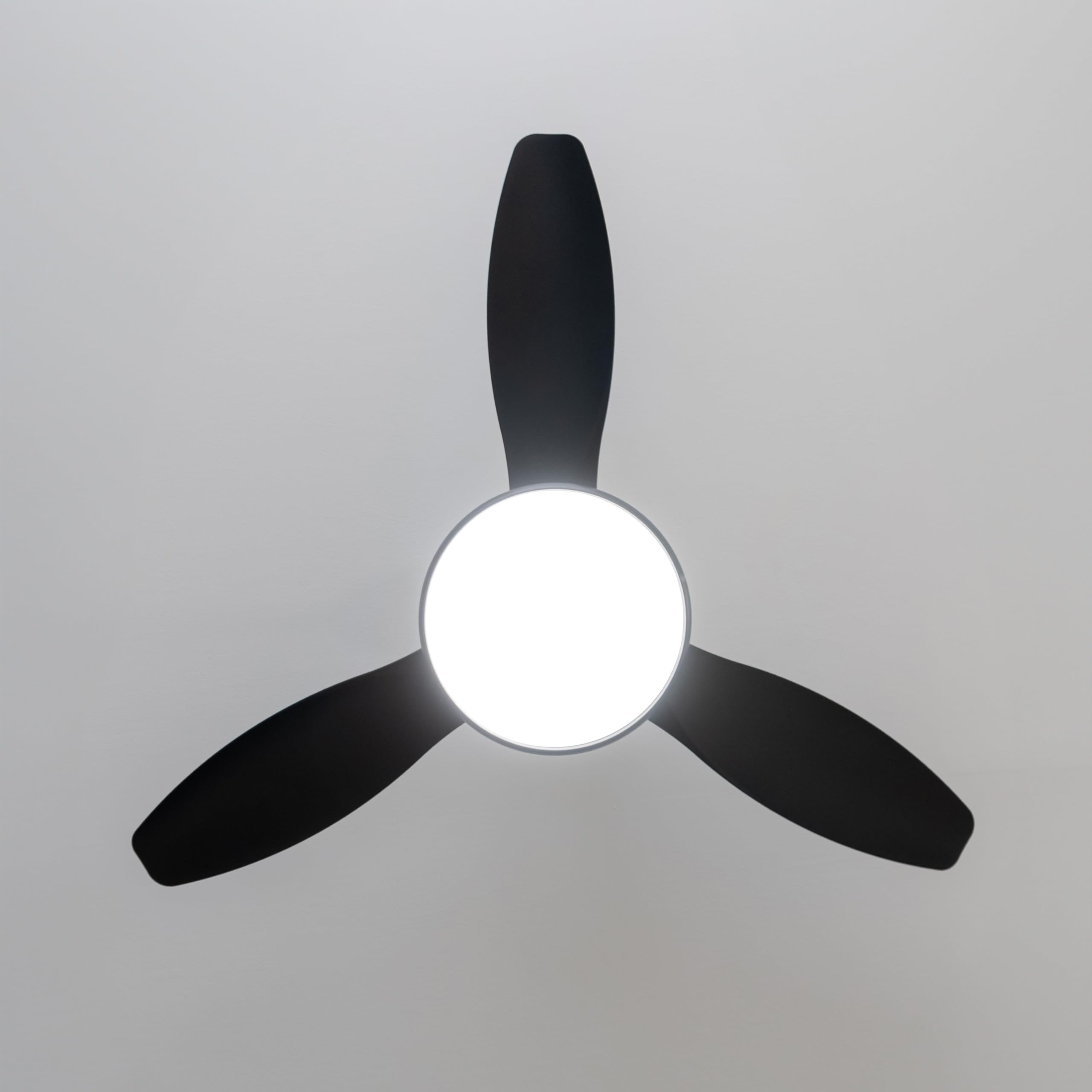 Cecotec Ventilador de Techo con Luz EnergySilence 4800 Light Black. 36 W, Motor DC, Diámetro 48”, Luz LED de 36W, Mando a distancia, Temporizador, 6 Velocidades y 3 Aspas | Fernbedienung, Timer bis 8 Std., 6 Geschwindigkeitsstufen, Sommer-/Winterfunktion,