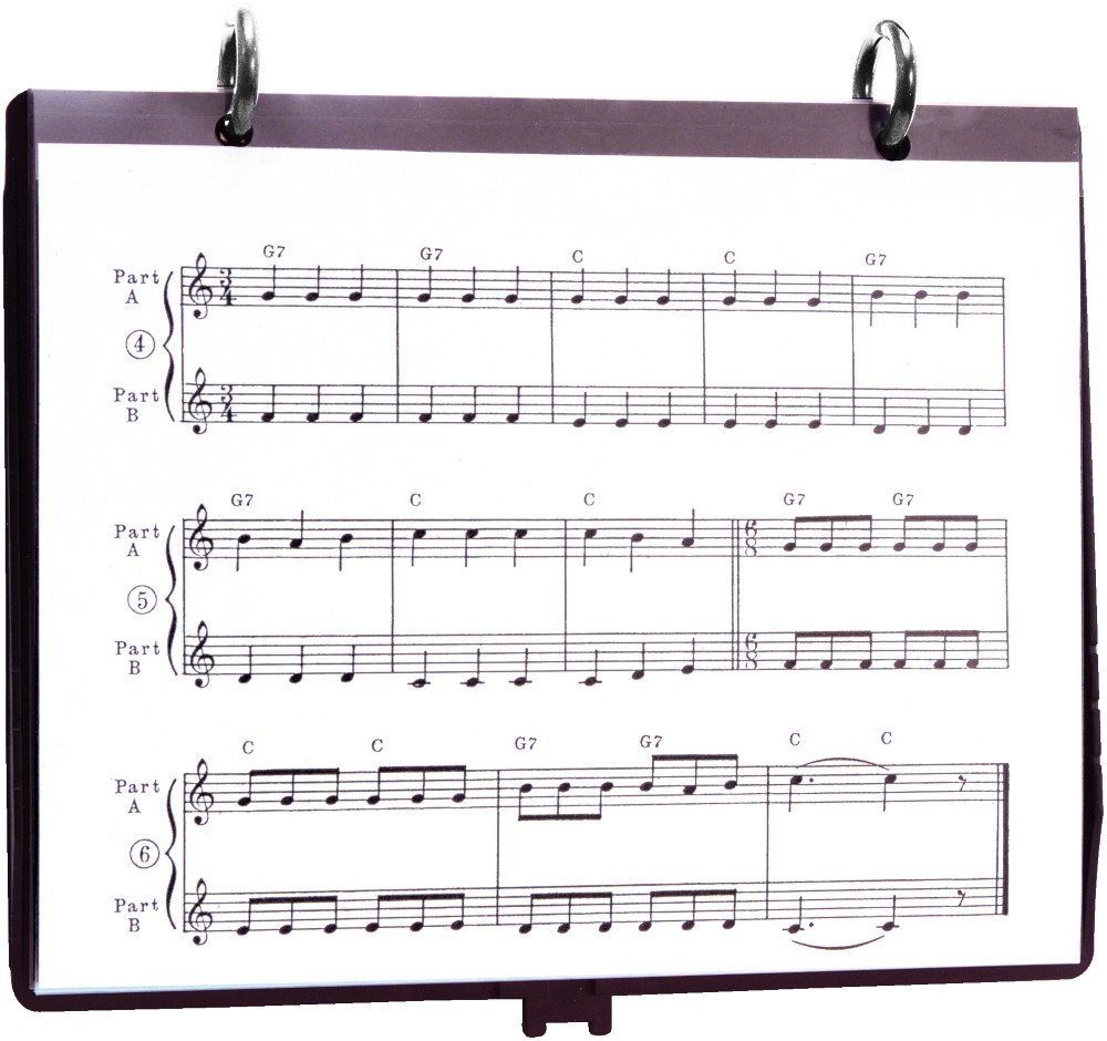 Selmer 5885 PLASTI-FOLIO música soporte