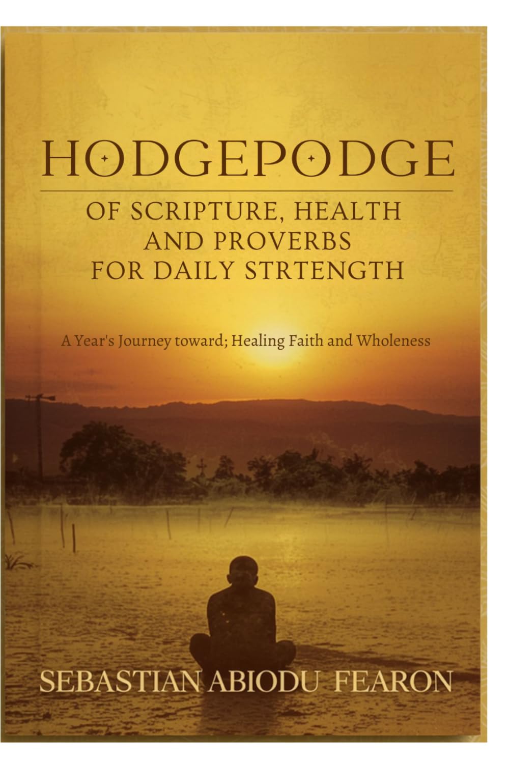 Hodgepodge of Scripture, Health and Proverbs for Daily Strentgth: A year's journey toward healing faith and wholeness