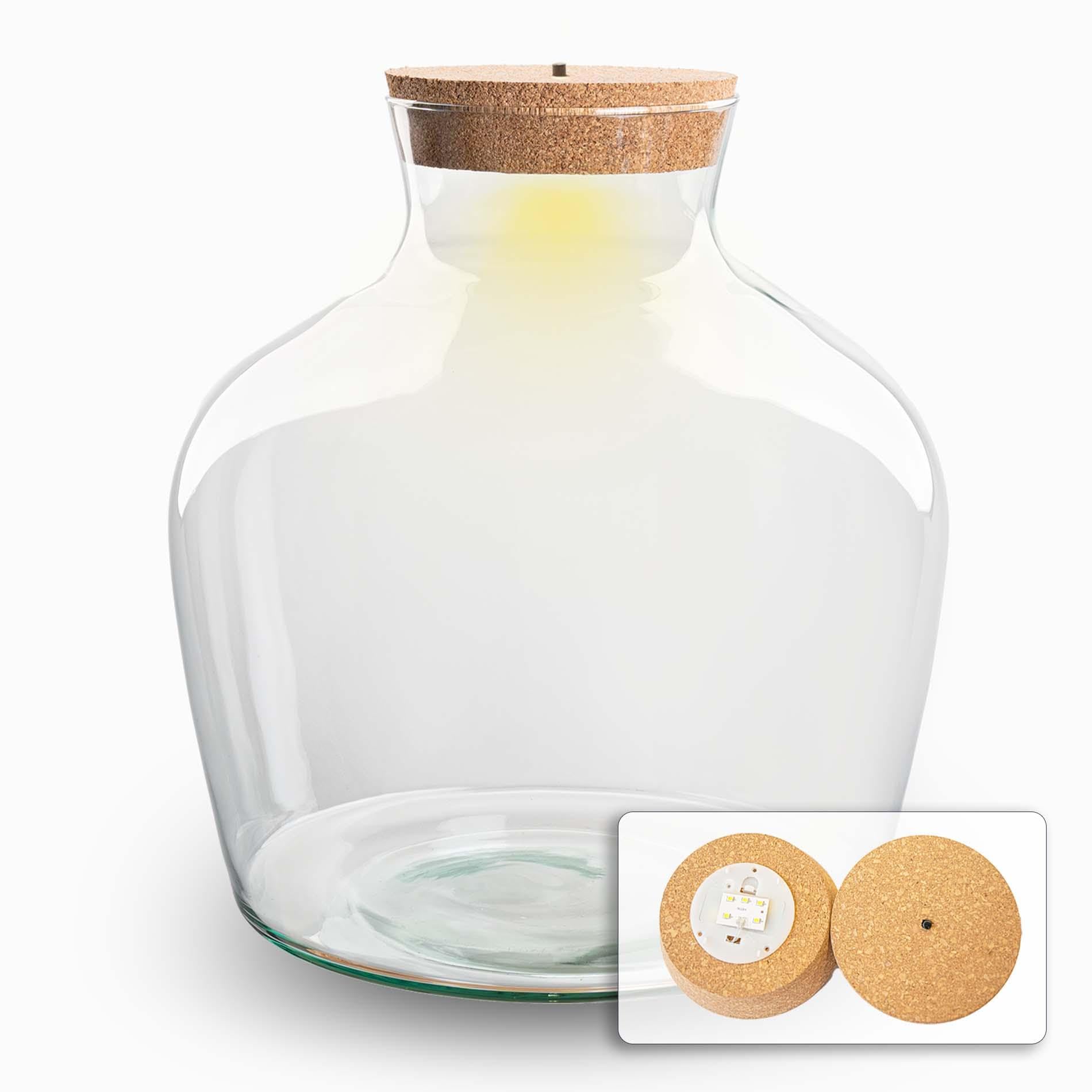 Terrarium-Flasche mit LED, Flaschengarten aus Glas, Klar, Ø 29 cm, 9L