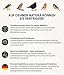 Dehner Natura Premium Meisenknödel ohne Netz, Insektenknödel, ganzjähriges Wildvogelfutter proteinreich / energiereich, 100 Stück je 90 g (9 kg), Karton aus FSC-zertifizierter Produktion