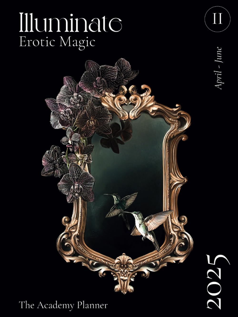 Illuminate 2025: Erotic Magic (Q2 Planner)      Hardcover – November 23, 2024