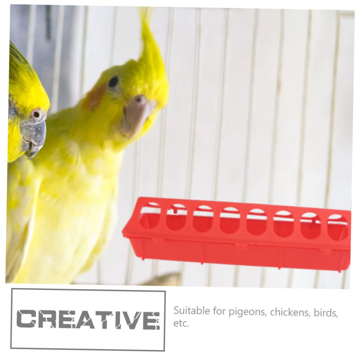 Mangiatoia per Colombe in Plastica Multiuso 4 Pezzi