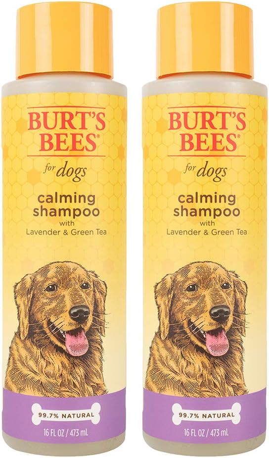 Burt's Bees for Dogs Natural Calming Dog Shampoo | Soothes, Calms & Revitalizes | Dog Shampoos Made with Lavender & Green Tea | Cruelty…
