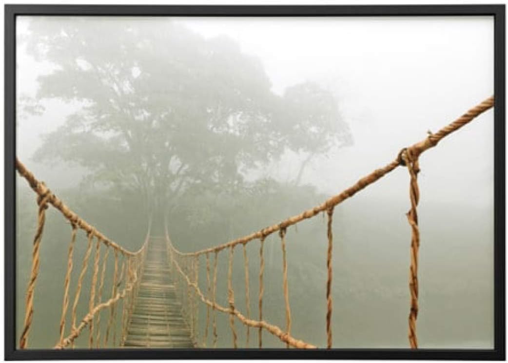 IKEA Bjorksta Picture and Frame Jungle Journey Black 491.734.95 Size 55x39 ¼ "