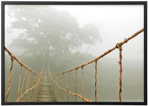 IKEA Bjorksta Cuadro y Marco Jungle Journey Negro 491.734.95 Tamaño 55x39 ¼ "